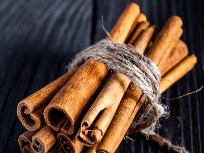 Can Dogs Eat Cinnamon? Here’s What Every Pet Parent Should Know
