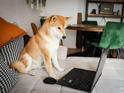 How Tech is Changing Pet Insurance: Faster, Smarter, and Easier